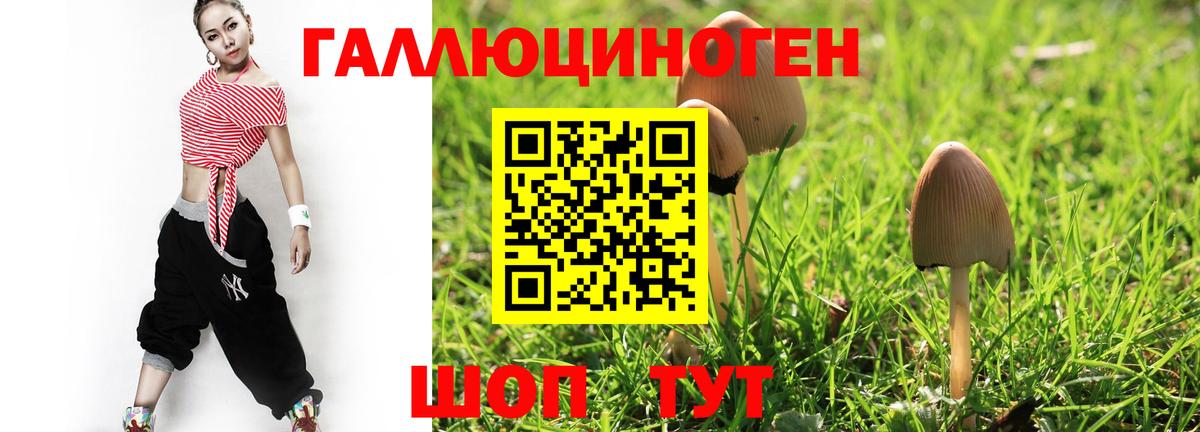 Надым  Псилоцибиновые грибы Psilocybe  Вход с VPN 