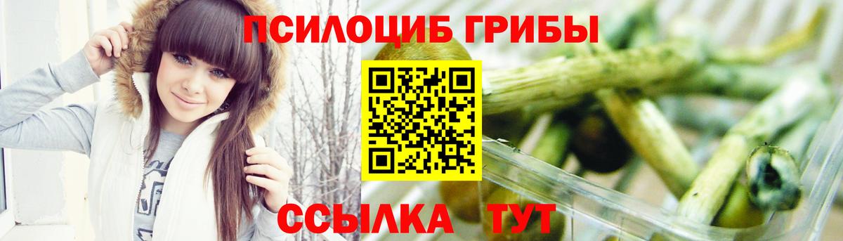 Псилоцибиновые грибы мицелий Надым